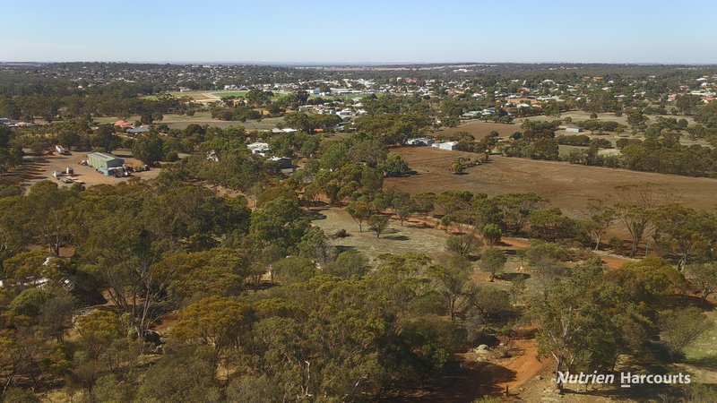 Photo - 36 Quigley Street, Narrogin WA 6312 - Image 4