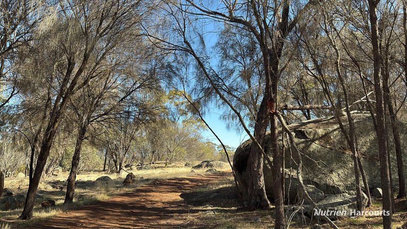 Photo - 36 Quigley Street, Narrogin WA 6312 - Image 5