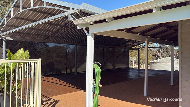 Photo - 36 Quigley Street, Narrogin WA 6312 - Image 16