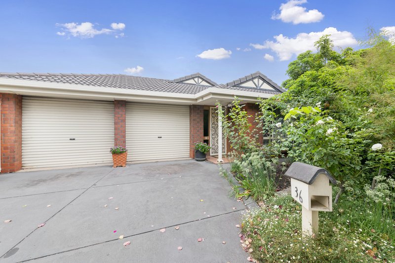 36 Ramsey Avenue, Klemzig SA 5087