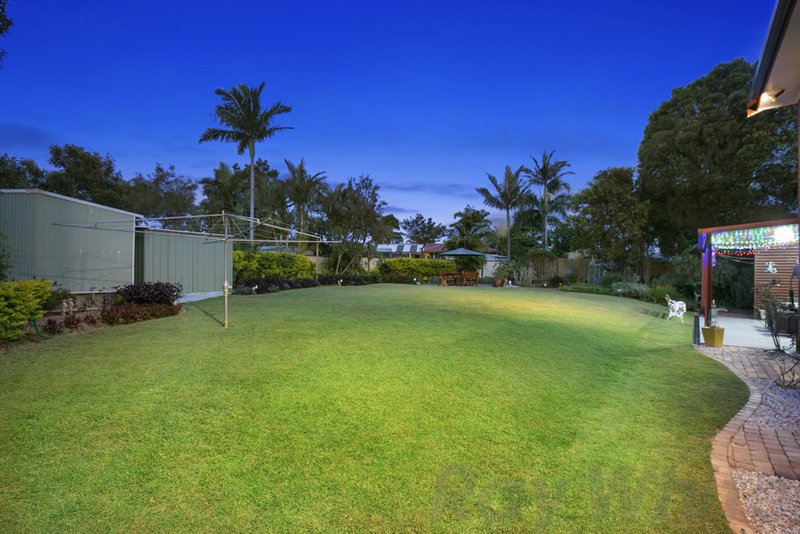 Photo - 36 Reading Drive, Alexandra Hills QLD 4161 - Image 15