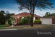 Photo - 36 Roehampton Avenue, Wantirna VIC 3152 - Image 1