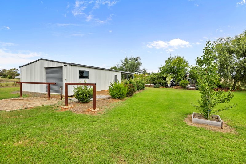 Photo - 36 Rushes Creek Road, Manilla NSW 2346 - Image 15