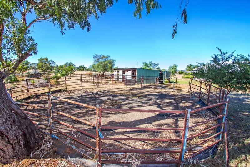 Photo - 36 Rushes Creek Road, Manilla NSW 2346 - Image 12