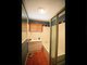 Photo - 36 Sandpiper Avenue, New Auckland QLD 4680 - Image 13