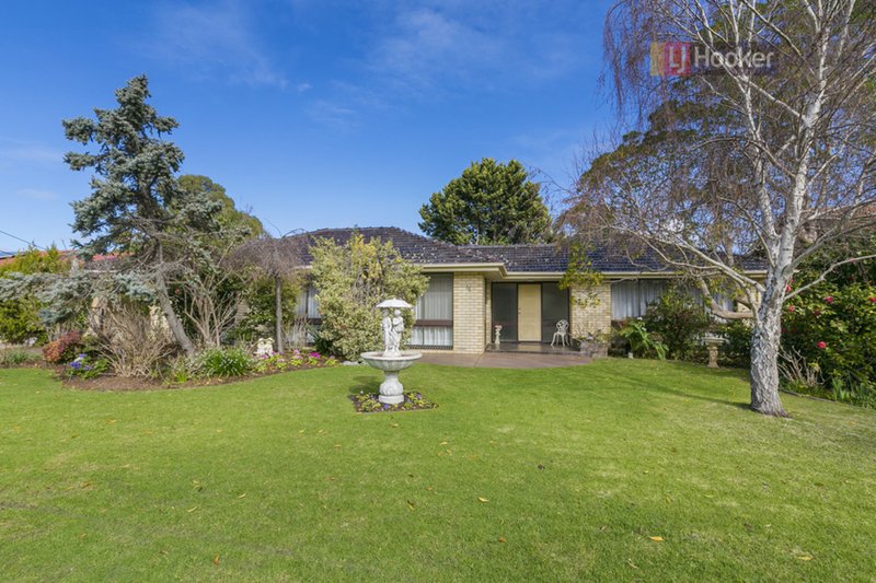 Photo - 36 Saratoga Drive, Novar Gardens SA 5040 - Image 3