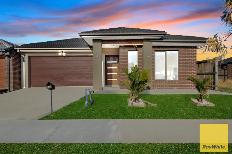 36 Seed Avenue, Truganina VIC 3029