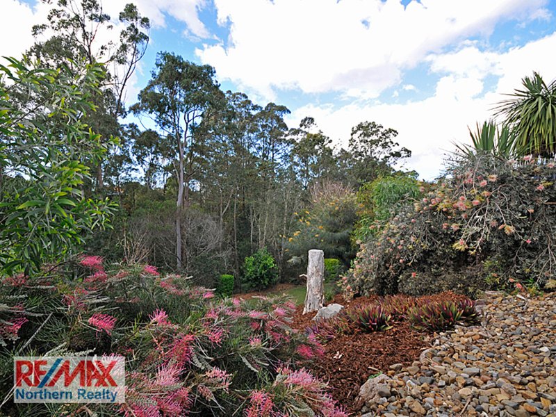 Photo - 36 Snow Wood Dr , Eatons Hill QLD 4037 - Image 14