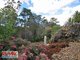 Photo - 36 Snow Wood Dr , Eatons Hill QLD 4037 - Image 14