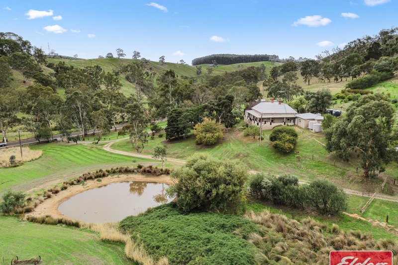 Photo - 36 Springton Road, Williamstown SA 5351 - Image 5
