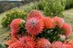 Photo - 36 Springton Road, Williamstown SA 5351 - Image 24
