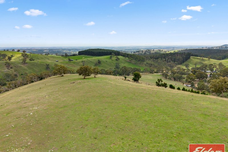 Photo - 36 Springton Road, Williamstown SA 5351 - Image 34