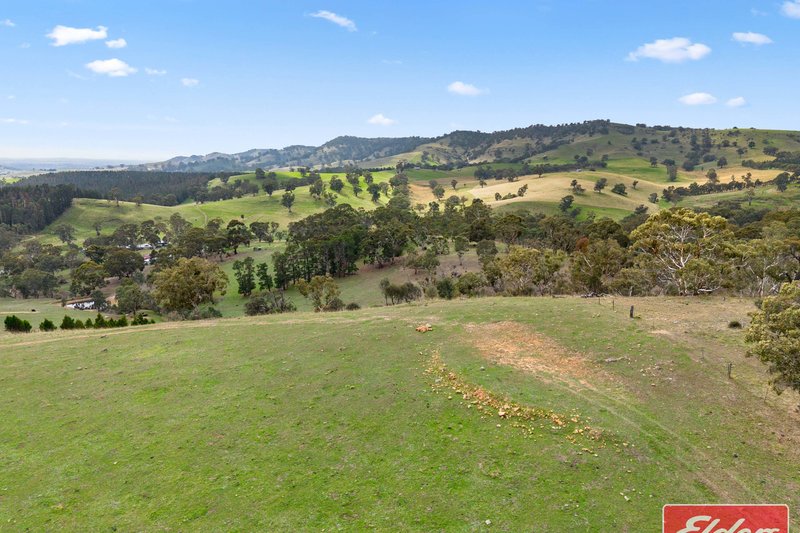 Photo - 36 Springton Road, Williamstown SA 5351 - Image 35