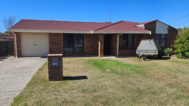 Photo - 36 Stainer Avenue, Rockingham WA 6168 - Image 35