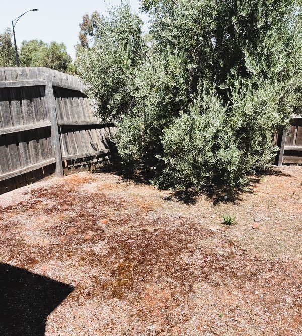 Photo - 36 Starling Avenue, Tarneit VIC 3029 - Image 15