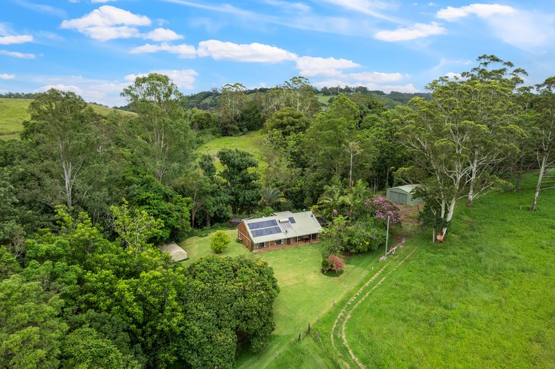 Photo - 36 Wallace Road, The Channon NSW 2480 - Image 11