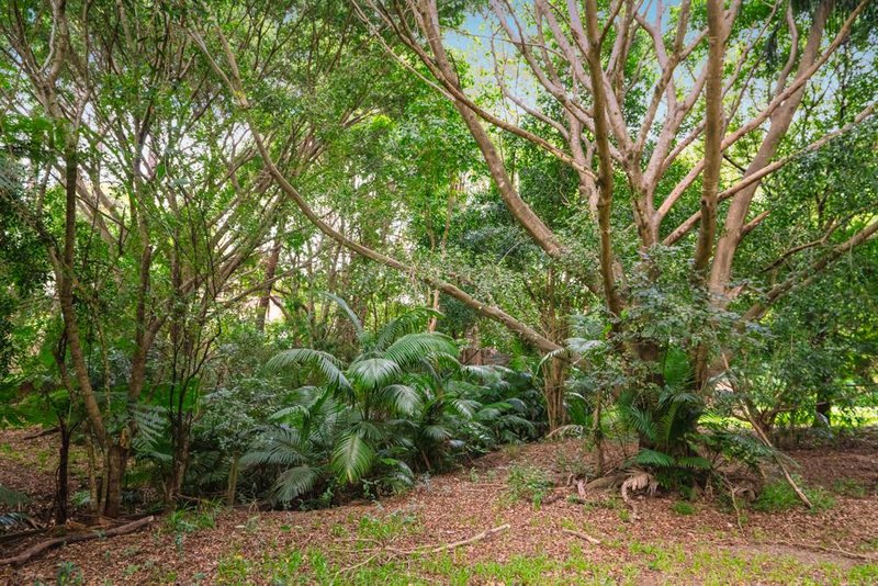 Photo - 36 Waterfall Road, Nambour QLD 4560 - Image 13