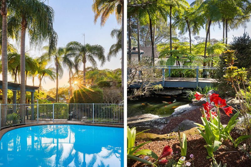 Photo - 36 Willandra Road, Beacon Hill NSW 2100 - Image 8