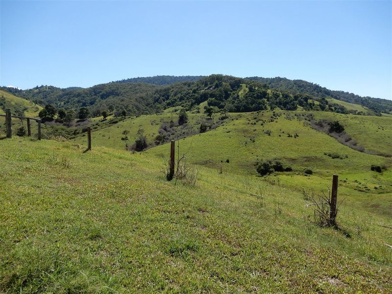 Photo - 360 Bee Creek Road, Eungella QLD 4757 - Image 1