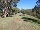 Photo - 360 Bee Creek Road, Eungella QLD 4757 - Image 5