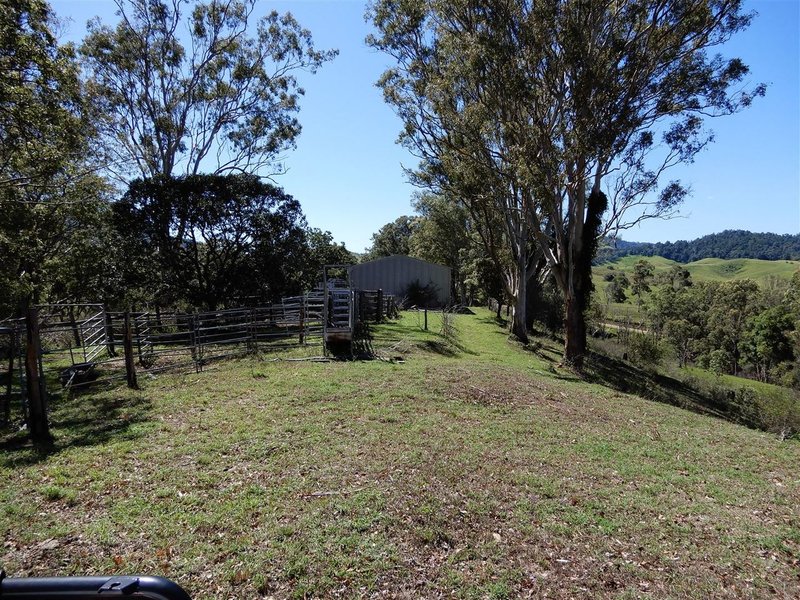 Photo - 360 Bee Creek Road, Eungella QLD 4757 - Image 9