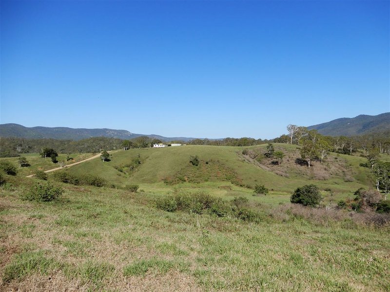 Photo - 360 Bee Creek Road, Eungella QLD 4757 - Image 12