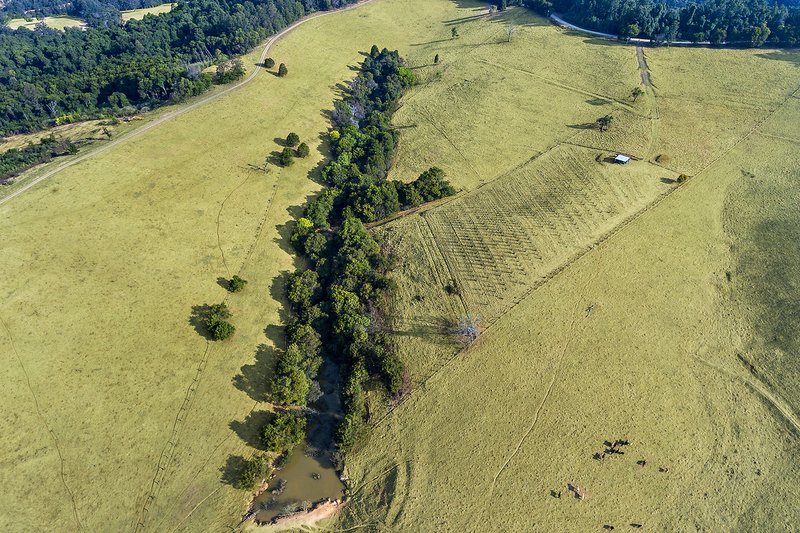 Photo - 360 Schultz Road, Billys Creek NSW 2453 - Image 3