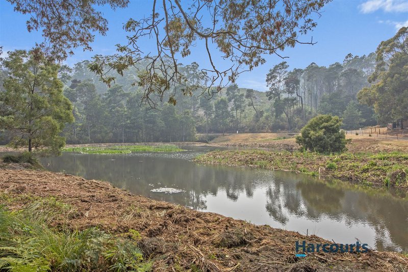 Photo - 360 Thompsons Road, Forth TAS 7310 - Image 4