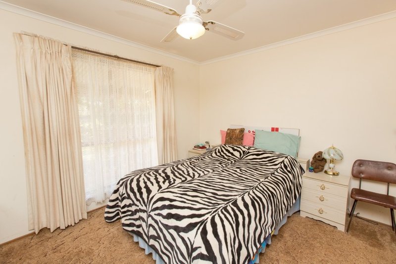 Photo - 360 Wilga Road, Red Cliffs VIC 3496 - Image 5