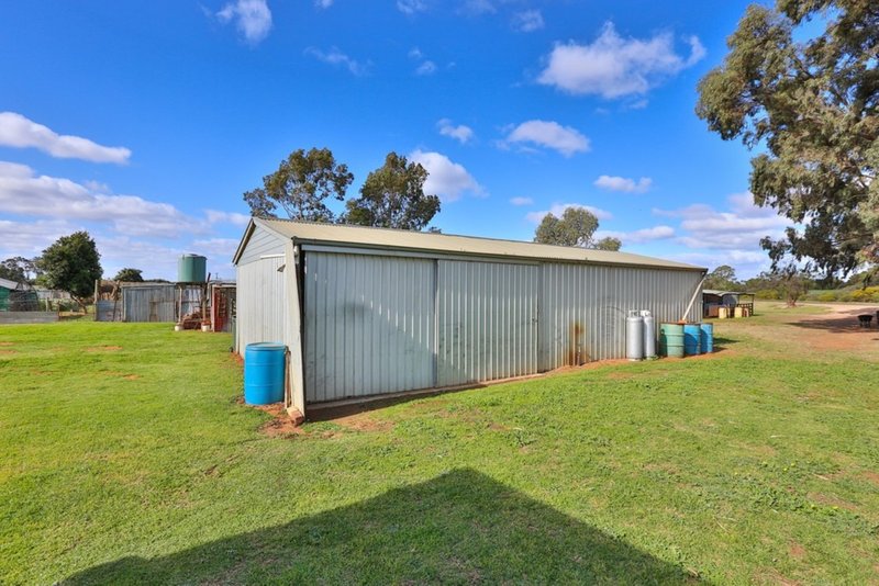 Photo - 360 Wilga Road, Red Cliffs VIC 3496 - Image 10