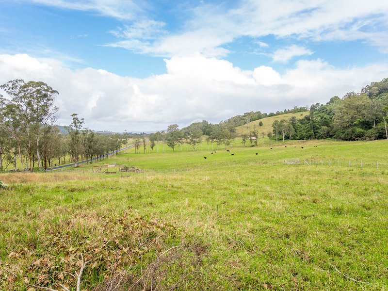 Photo - 361 Boyle Road, Koonorigan NSW 2480 - Image 20