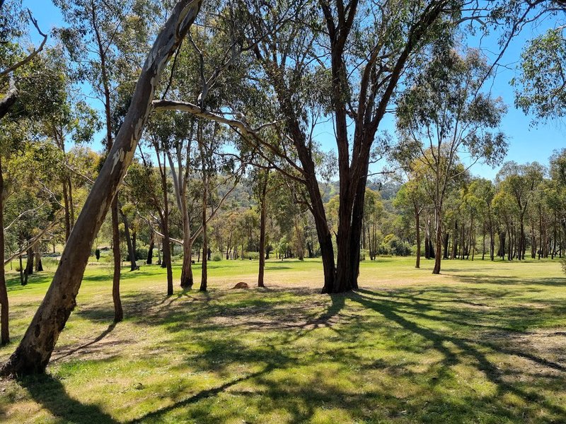 Photo - 361 Reno Road, Gundagai NSW 2722 - Image 33