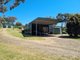 Photo - 361 Reno Road, Gundagai NSW 2722 - Image 35