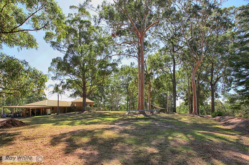 Photo - 361 Tallwoods Drive, Hallidays Point NSW 2430 - Image 7