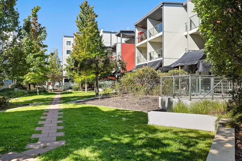 Photo - 36/21 Battye Street, Bruce ACT 2617 - Image 1