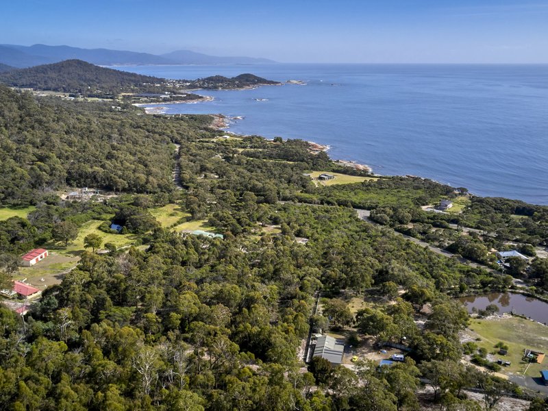 Photo - 363 Harveys Farm Road, Bicheno TAS 7215 - Image 16