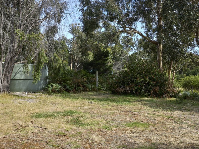 Photo - 363 Harveys Farm Road, Bicheno TAS 7215 - Image 19