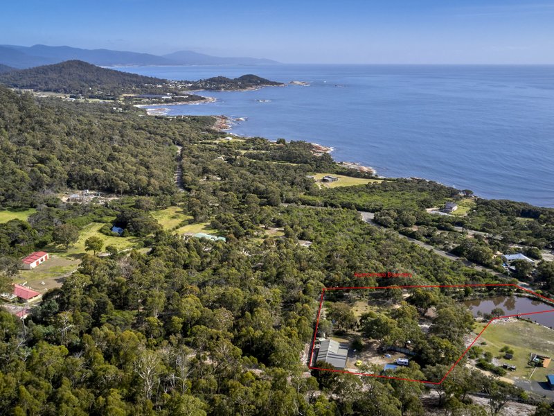 Photo - 363 Harveys Farm Road, Bicheno TAS 7215 - Image 20