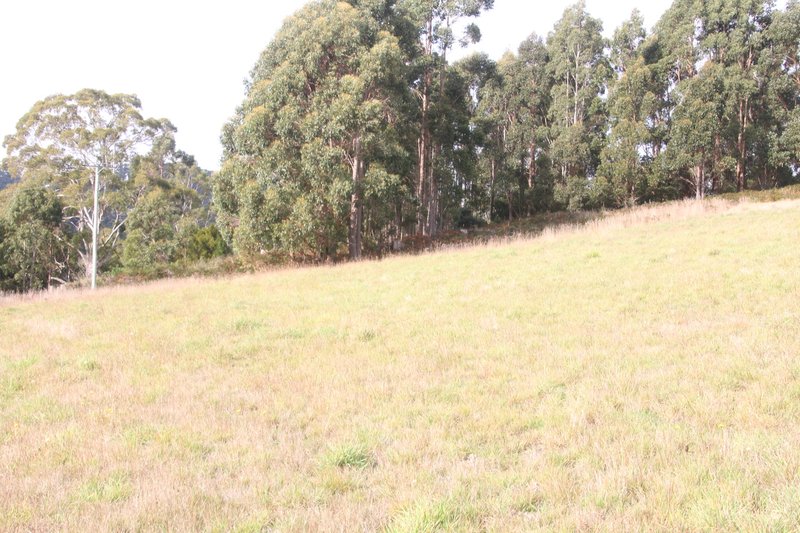 363 Melrose Road, Eugenana TAS 7310 Real Estate Industry Partners