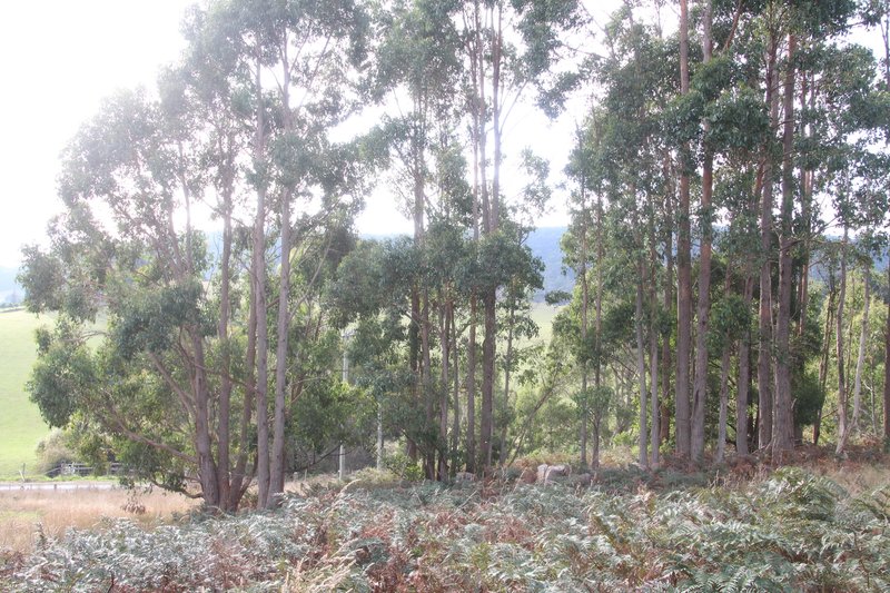 363 Melrose Road, Eugenana TAS 7310 Real Estate Industry Partners