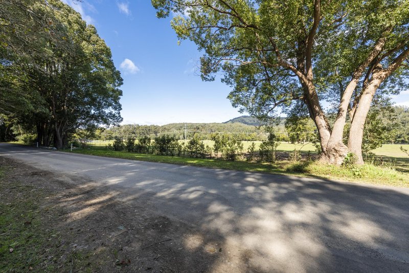 Photo - 364 Dairyville Road, Upper Orara NSW 2450 - Image 5