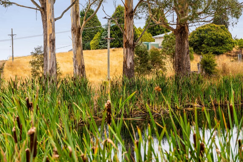 Photo - 364 Golconda Road, Lilydale TAS 7268 - Image 4