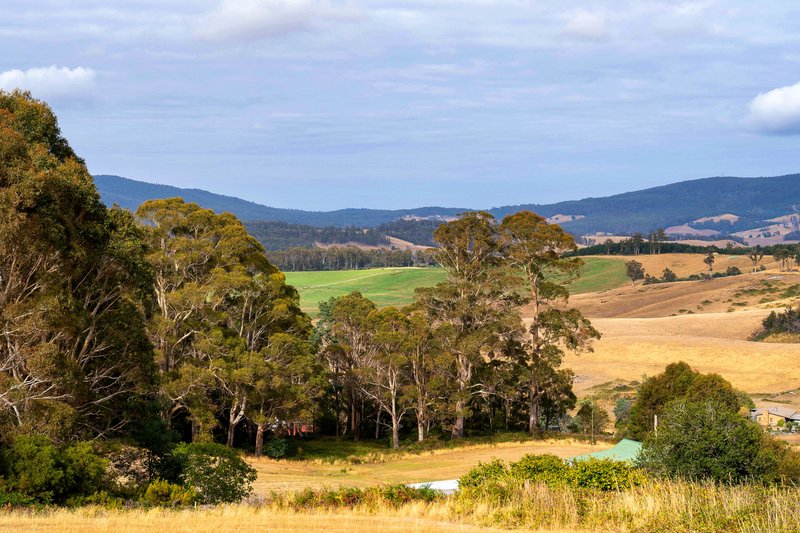 Photo - 364 Golconda Road, Lilydale TAS 7268 - Image 6