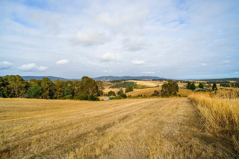 Photo - 364 Golconda Road, Lilydale TAS 7268 - Image 11