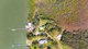 Photo - 364 Moffats Road, Swan Bay NSW 2324 - Image 31