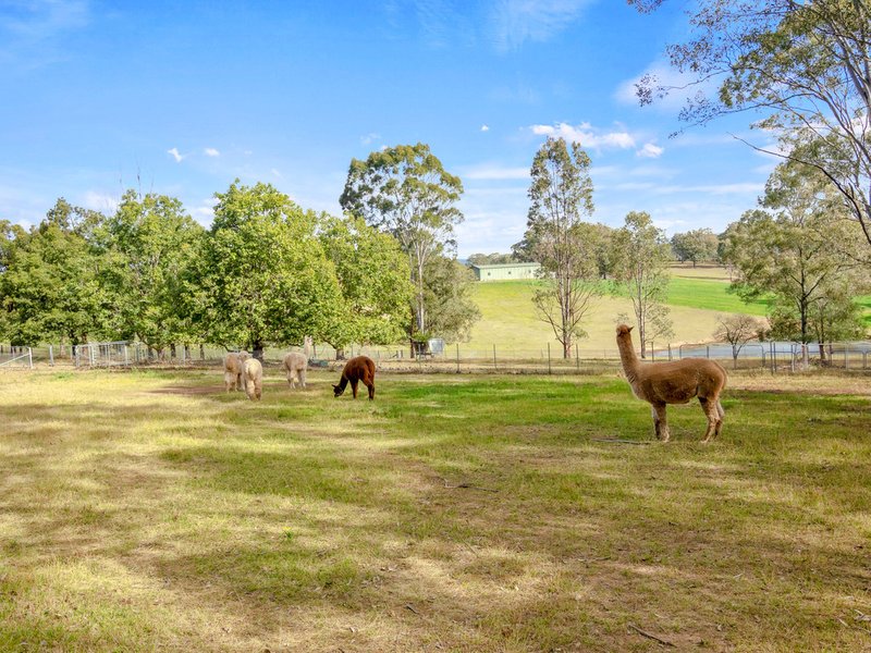 Photo - 364 Spinks Road, Glossodia NSW 2756 - Image 17