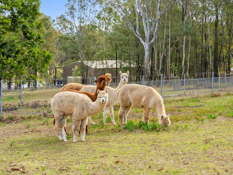 Photo - 364 Spinks Road, Glossodia NSW 2756 - Image 22