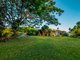 Photo - 364 Tomewin Mountain Road, Currumbin Valley QLD 4223 - Image 3