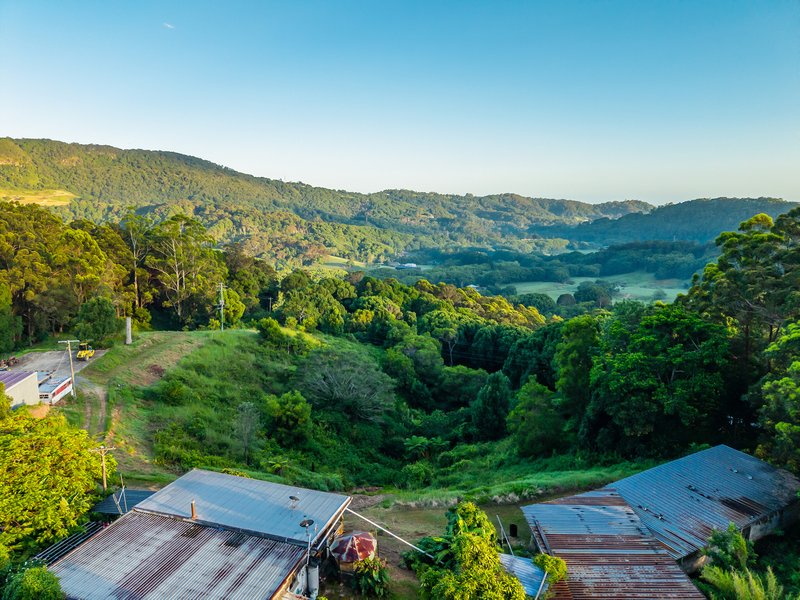 Photo - 364 Tomewin Mountain Road, Currumbin Valley QLD 4223 - Image 4