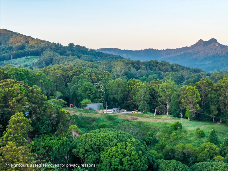 Photo - 364 Tomewin Mountain Road, Currumbin Valley QLD 4223 - Image 17